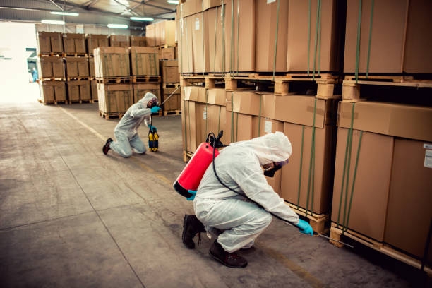 Best Cockroach Control Services  in Junction, TX