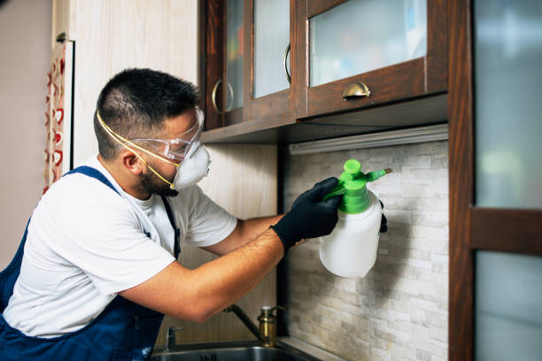 Best Pest Control Near Me in Junction, TX