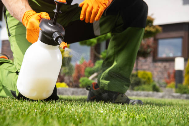Best Residential Pest Control  in Junction, TX