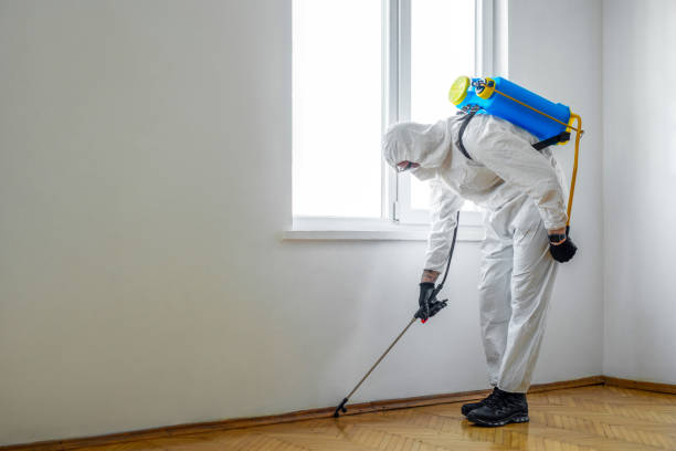 Best Affordable Pest Control Services  in Junction, TX