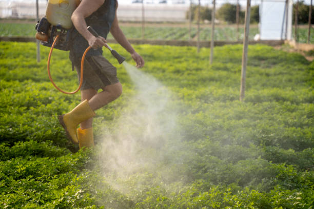 Best Best Pest Control Companies  in Junction, TX