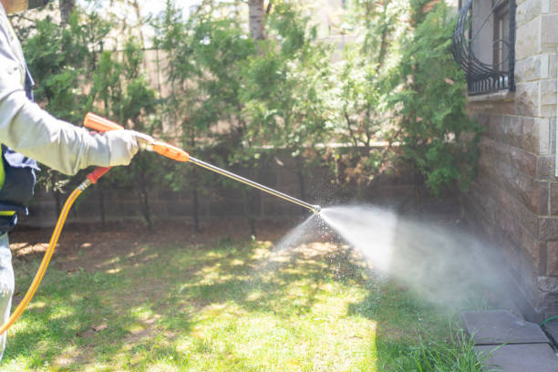 Best Affordable Pest Control Services  in Junction, TX