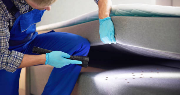 Best Mosquito Control Services  in Junction, TX