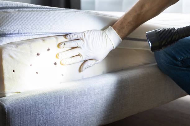 Best Commercial Pest Control Services  in Junction, TX