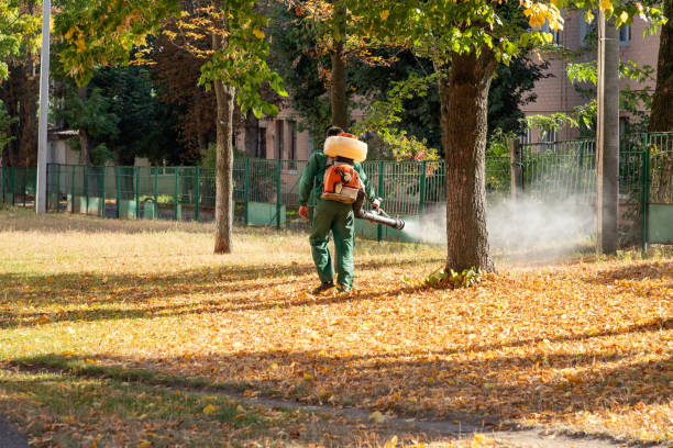 Best Pest Control Treatment  in Junction, TX
