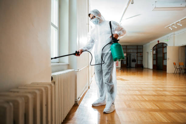 Best Emergency Pest Control  in Junction, TX
