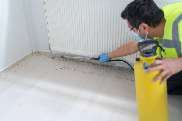 Best Emergency Pest Control  in Junction, TX